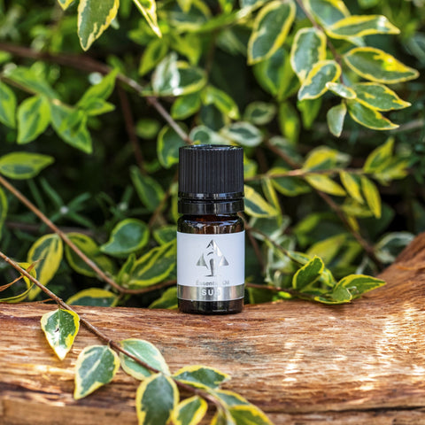 霊峰白山の息吹をこの一滴に。天然100% 国産エッセンシャルオイル(スギ) 5ml